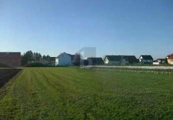 476127-Vorschaubild2