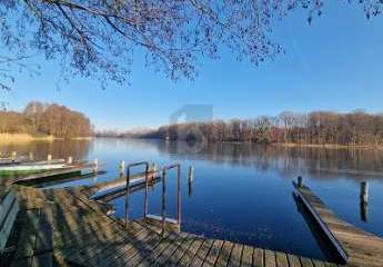 DER SEEADLER IST GELANDET