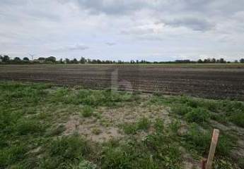 475898-Vorschaubild4