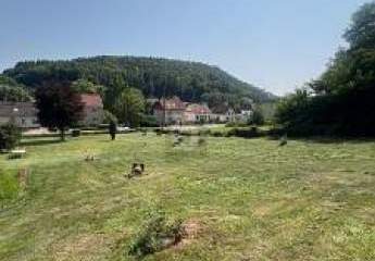 474998-Vorschaubild3