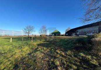 476537-Vorschaubild2