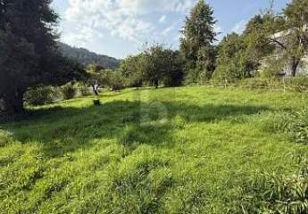 476543-Vorschaubild3