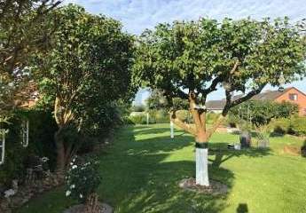 476558-Vorschaubild4