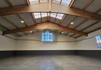 475906-Vorschaubild4