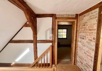 477183-Vorschaubild3