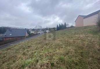 477824-Vorschaubild2