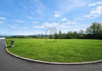 477815-Vorschaubild2