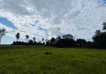 475096-Vorschaubild4