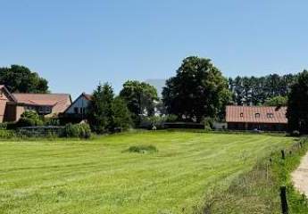 475099-Vorschaubild4