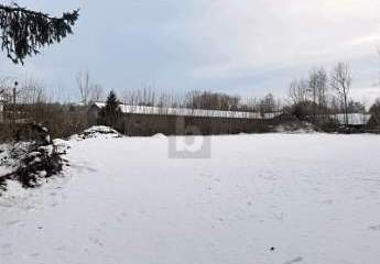 474306-Vorschaubild2