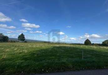 474332-Vorschaubild4