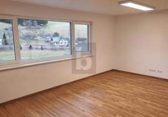 477982-Vorschaubild2