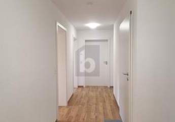 477982-Vorschaubild4