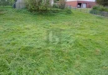 474118-Vorschaubild3