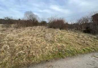 476298-Vorschaubild3