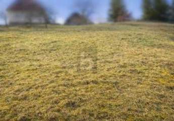 NATURNAH BAUEN IN BAIERSBRONN