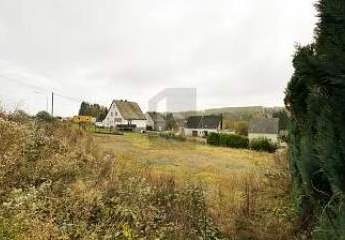 HANGPARADIES MIT POTENZIAL