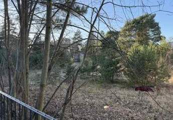 478077-Vorschaubild2