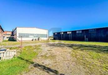 477108-Vorschaubild3