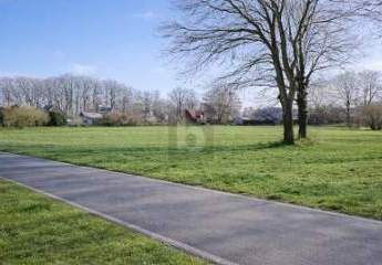 476124-Vorschaubild2