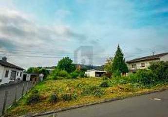 475148-Vorschaubild2