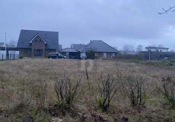 477947-Vorschaubild3