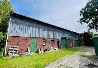 475910-Vorschaubild3