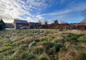 476500-Vorschaubild4