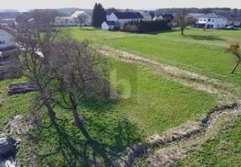 474952-Vorschaubild2