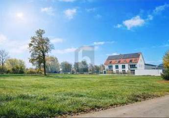 474298-Vorschaubild4