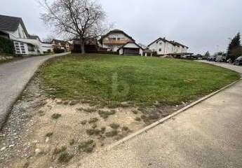 476513-Vorschaubild2