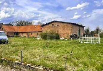 475925-Vorschaubild2