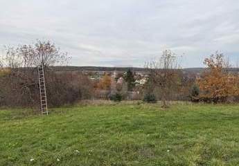 476401-Vorschaubild2