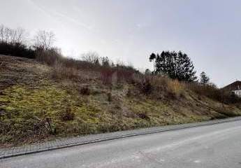 477820-Vorschaubild2