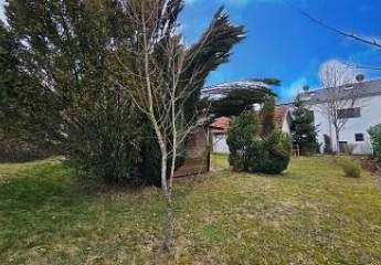 477103-Vorschaubild3