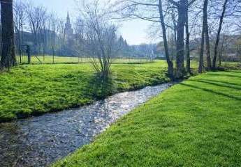 474971-Vorschaubild4