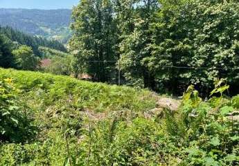 ERSCHAFFEN SIE IHREN WOHNTRAUM IM GRÜNEN