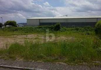 476542-Vorschaubild4