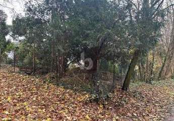 NATURNAH UND RUHIG - IHR NEUES ZUHAUSE