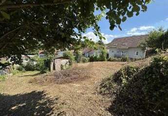 476551-Vorschaubild2