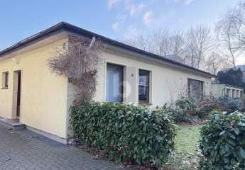 475180-Vorschaubild4