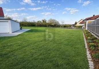 477992-Vorschaubild2