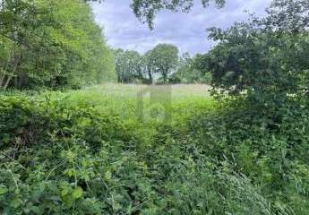 475436-Vorschaubild4