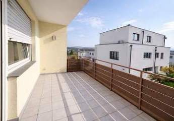 477831-Vorschaubild2