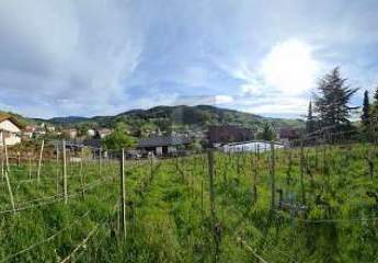 AUSSICHT & LEBENSQUALITÄT