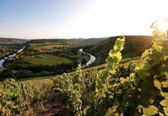 EXKLUSIVE UND SONNIGE LAGE MIT WEINBERG-AUSSICHT