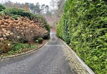 478276-Vorschaubild4