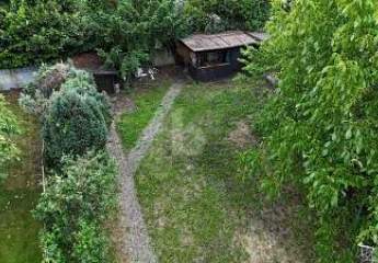 476729-Vorschaubild4