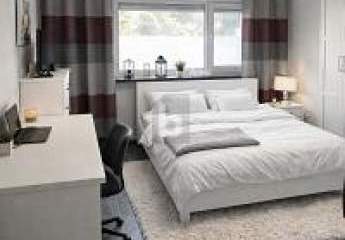 478292-Vorschaubild2