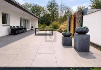 477941-Vorschaubild2